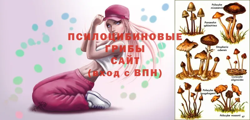 как найти   Светогорск  МЕГА   Галлюциногенные грибы MAGIC MUSHROOMS 